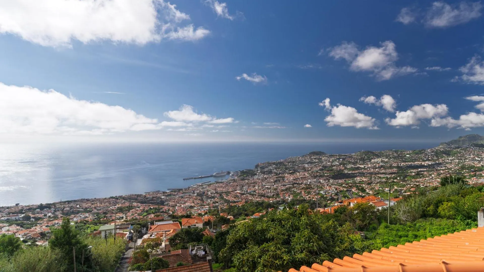 Villa Nobrega By Holiday Rental Madeira 푼샬
